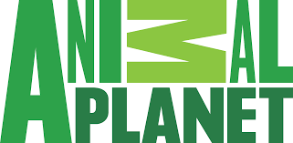 220. Animal Planet